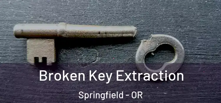 Broken Key Extraction Springfield - OR