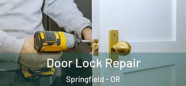 Door Lock Repair Springfield - OR