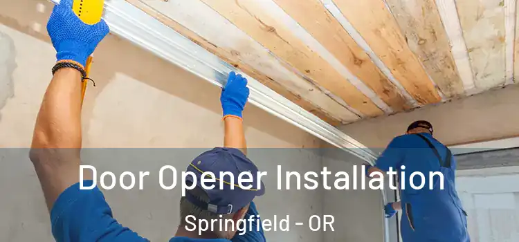 Door Opener Installation Springfield - OR