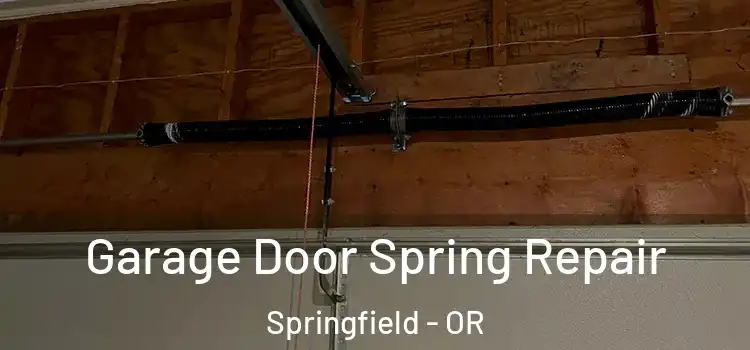  Garage Door Spring Repair Springfield - OR