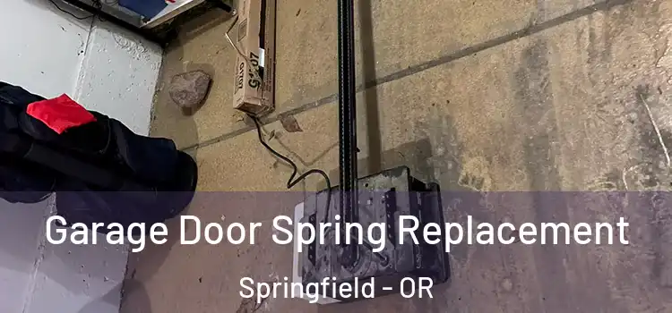  Garage Door Spring Replacement Springfield - OR