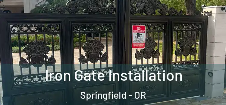 Iron Gate Installation Springfield - OR