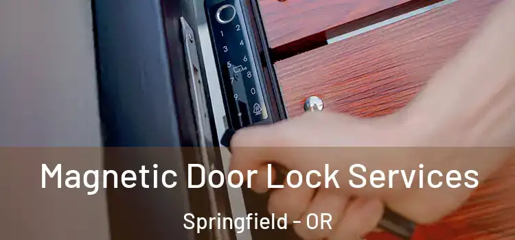Magnetic Door Lock Services Springfield - OR