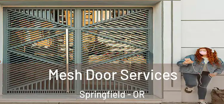 Mesh Door Services Springfield - OR