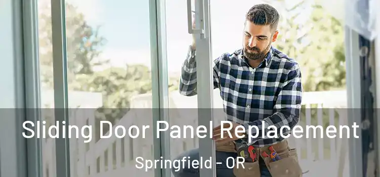  Sliding Door Panel Replacement Springfield - OR